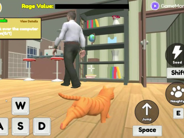 Cat Chaos Simulator