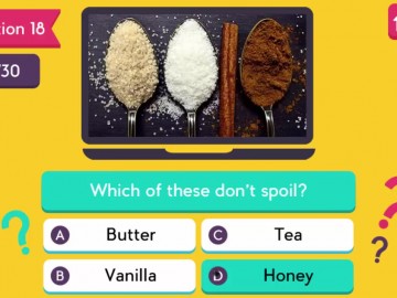 Trivia Quiz